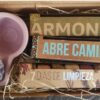 Ritual para atraer la Armonía